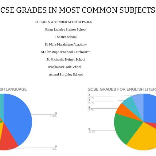 CLASS8LEAVERS2018SURVEYHEADLINES5)